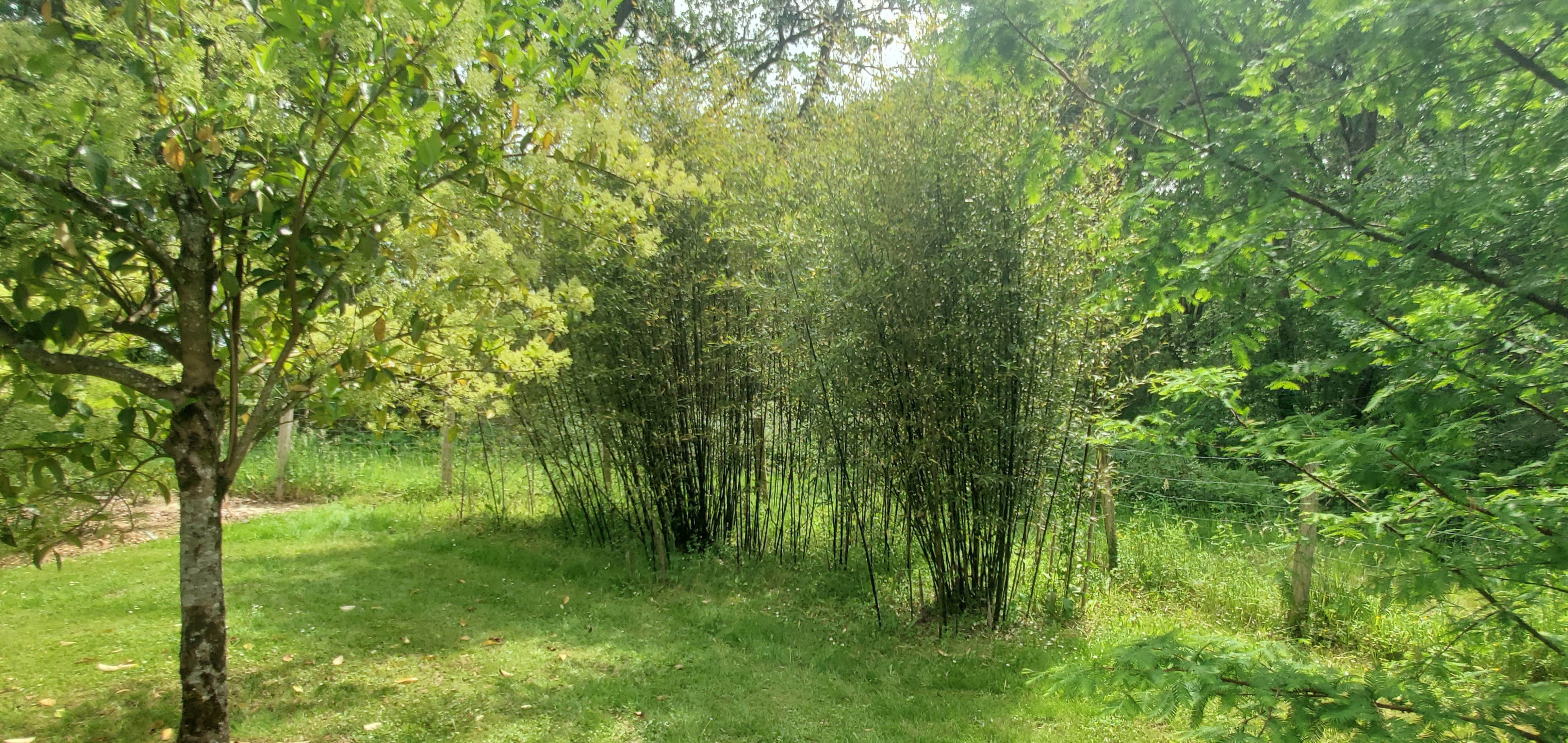Photo n° 34 de l'avis de David.a fait le 06/05/2023 à 16:57