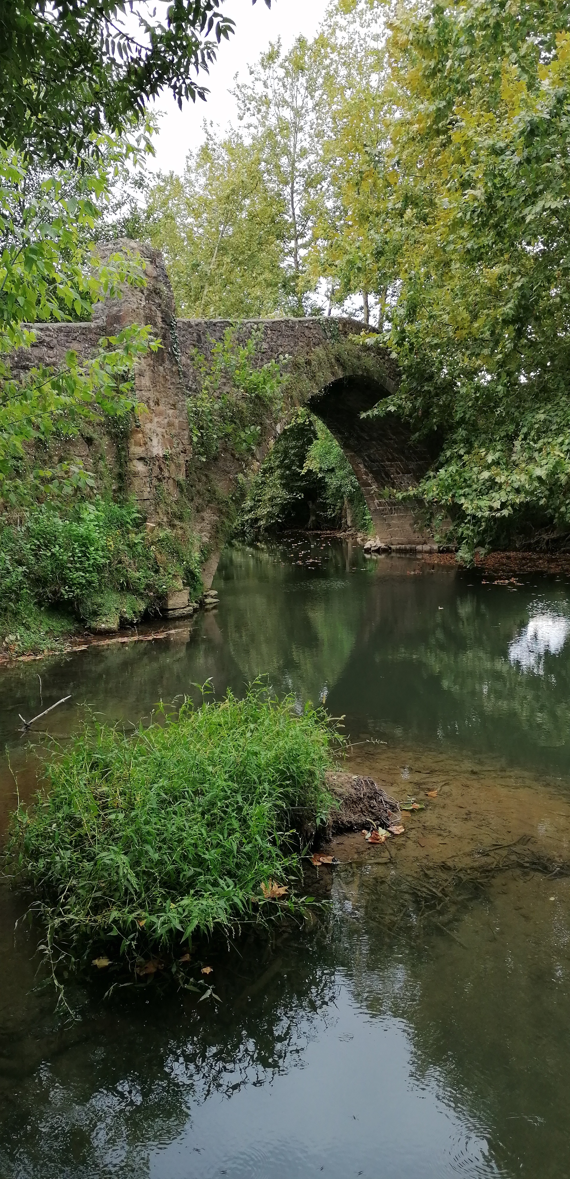 Photo n° 1 de l'avis de Anne-Marie.O fait le 13/09/2021 à 18:39