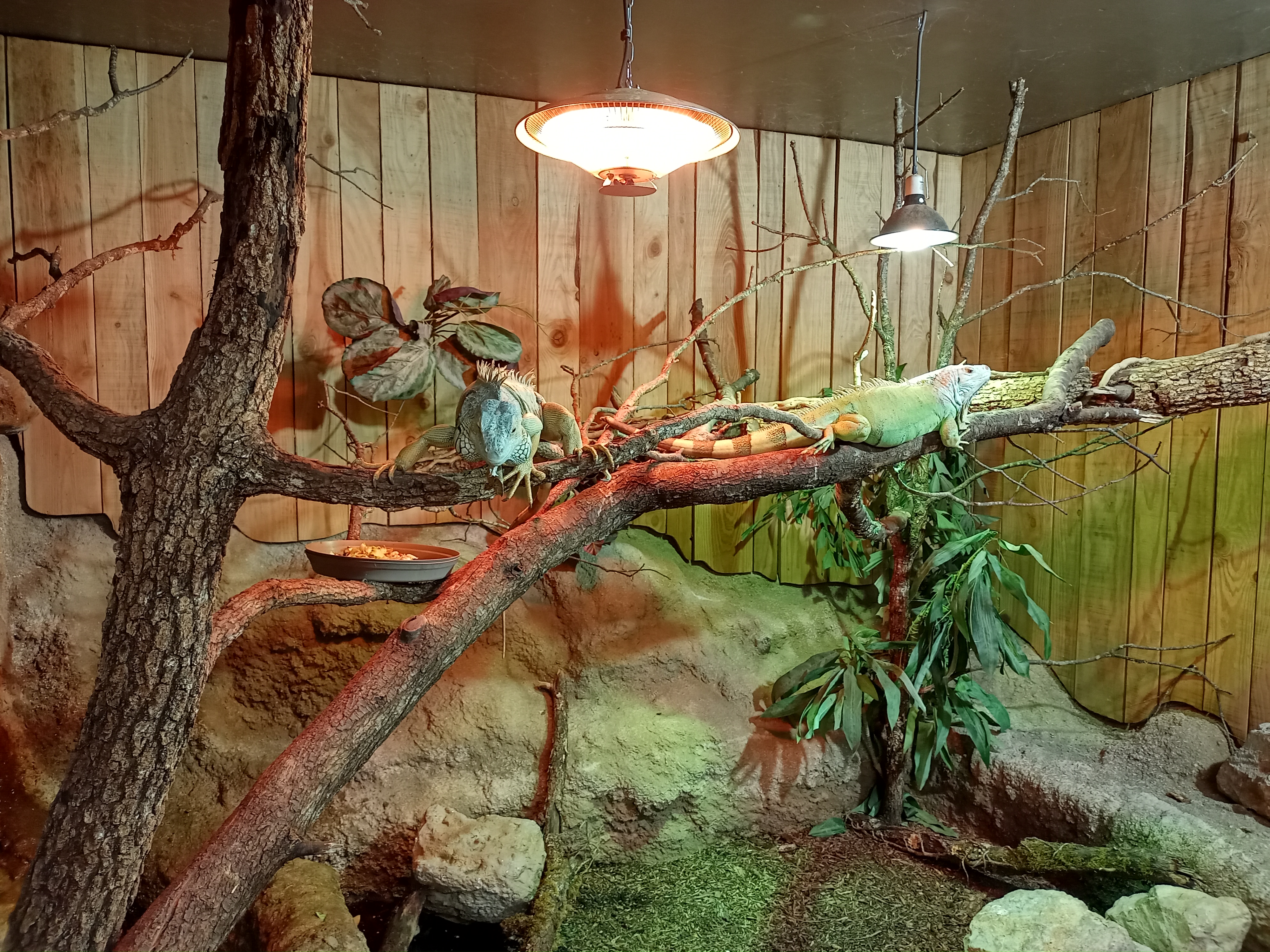 Photo n° 2 de l'avis de Céline. fait le 19/10/2022 à 19:46