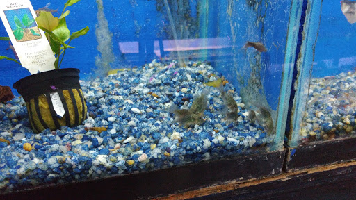 Tropical Fish Store «Belpre Aquarium & Pet Shop», reviews and photos, 1806 Washington Blvd, Belpre, OH 45714, USA