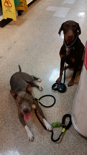 Pet Supply Store «PetSmart», reviews and photos, 6348 Foothill Blvd, Tujunga, CA 91042, USA