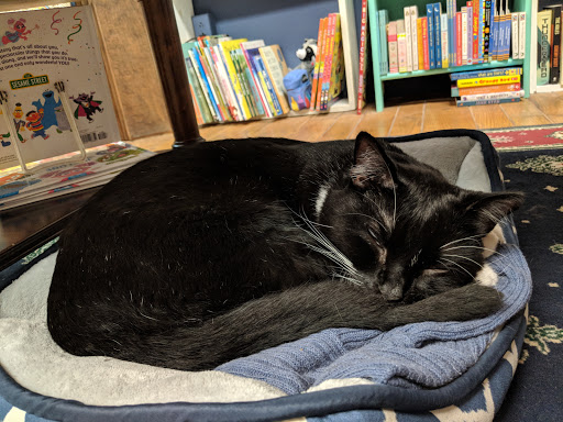 Book Store «MacIntosh Books of Sanibel», reviews and photos, 2330 Palm Ridge Rd, Sanibel, FL 33957, USA