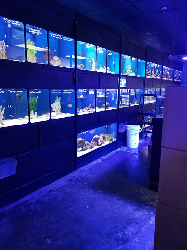 Tropical Fish Store «Aquatic Obsessions», reviews and photos, 1150 St George Ave, Avenel, NJ 07001, USA