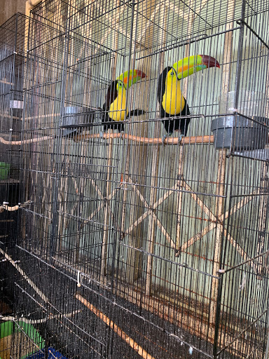 Pet Store «Pet Source 1901», reviews and photos, 1901 W 8th St B, Los Angeles, CA 90057, USA