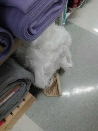 Fabric Store «Jo-Ann Fabrics and Crafts», reviews and photos, 10545 S Mall Dr, Baton Rouge, LA 70809, USA