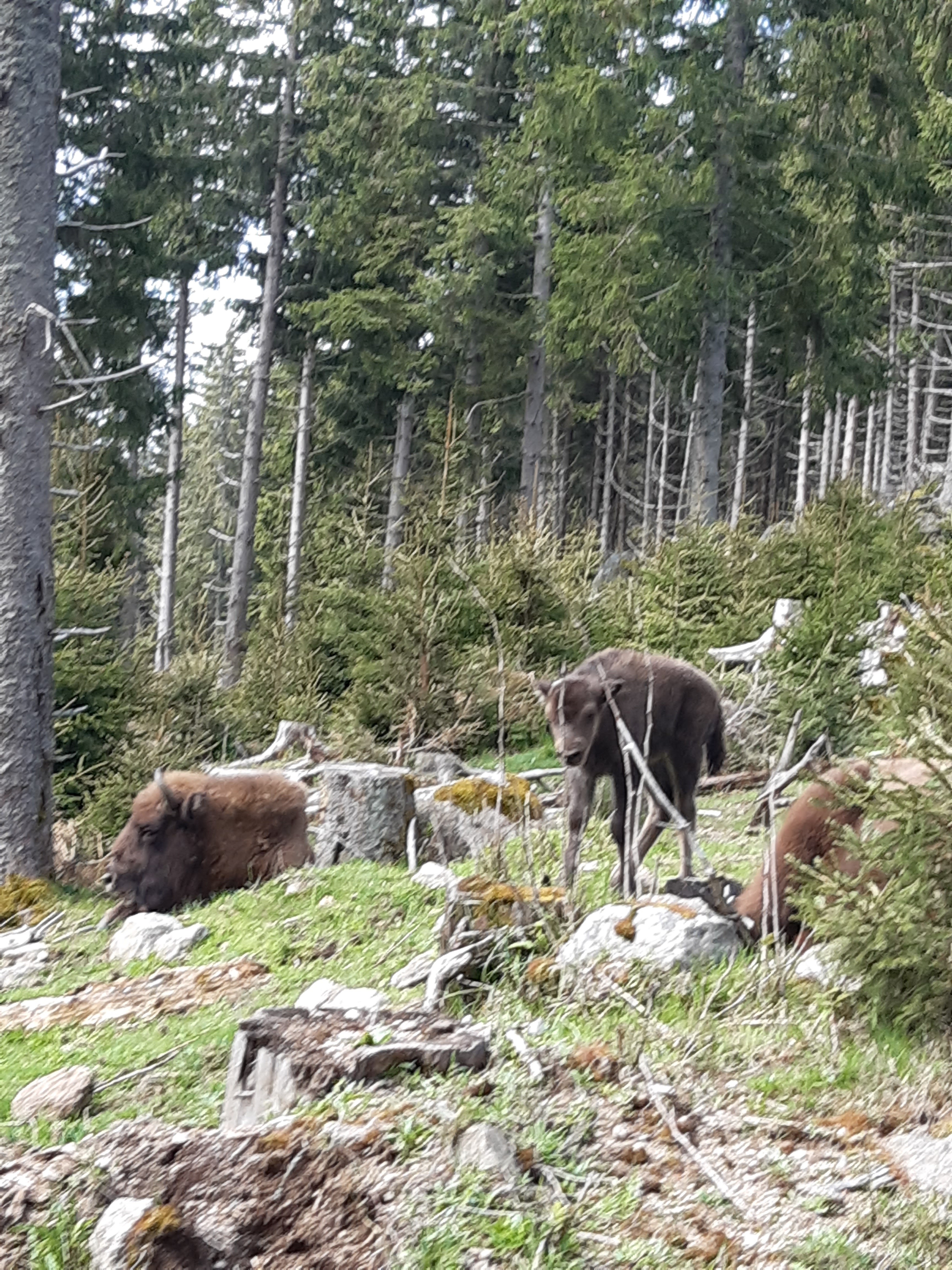 Photo n° 4 de l'avis de canu.a fait le 19/05/2023 à 10:22