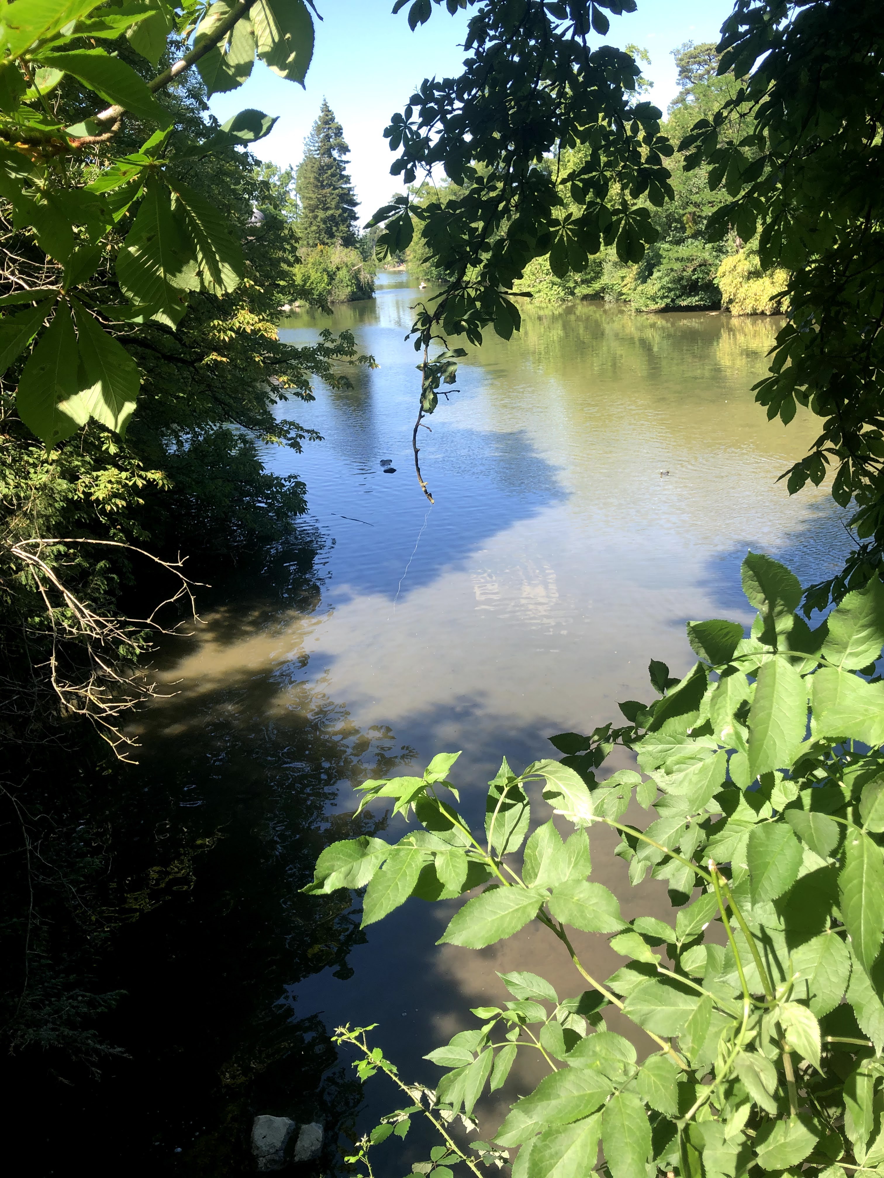 Photo n° 9 de l'avis de Nagireddy.o fait le 08/06/2020 à 16:07