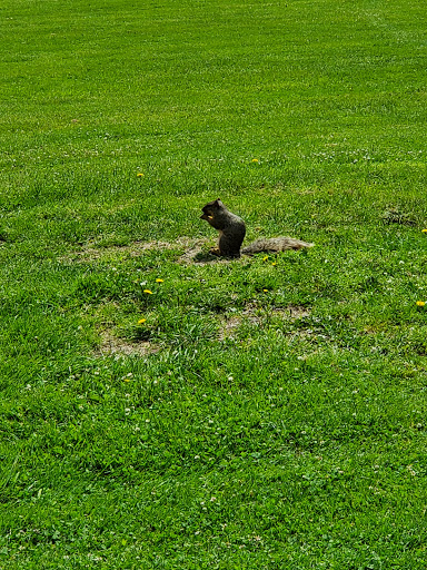 Golf Course «Windmill Lakes Golf Course», reviews and photos, 6544 OH-14, Ravenna, OH 44266, USA