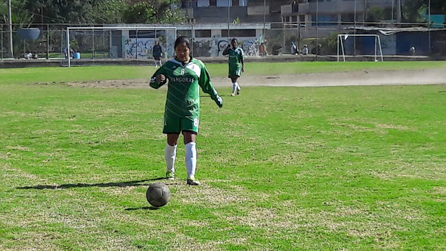 Opiniones de Cancha futbol en Quito - Campo de fútbol