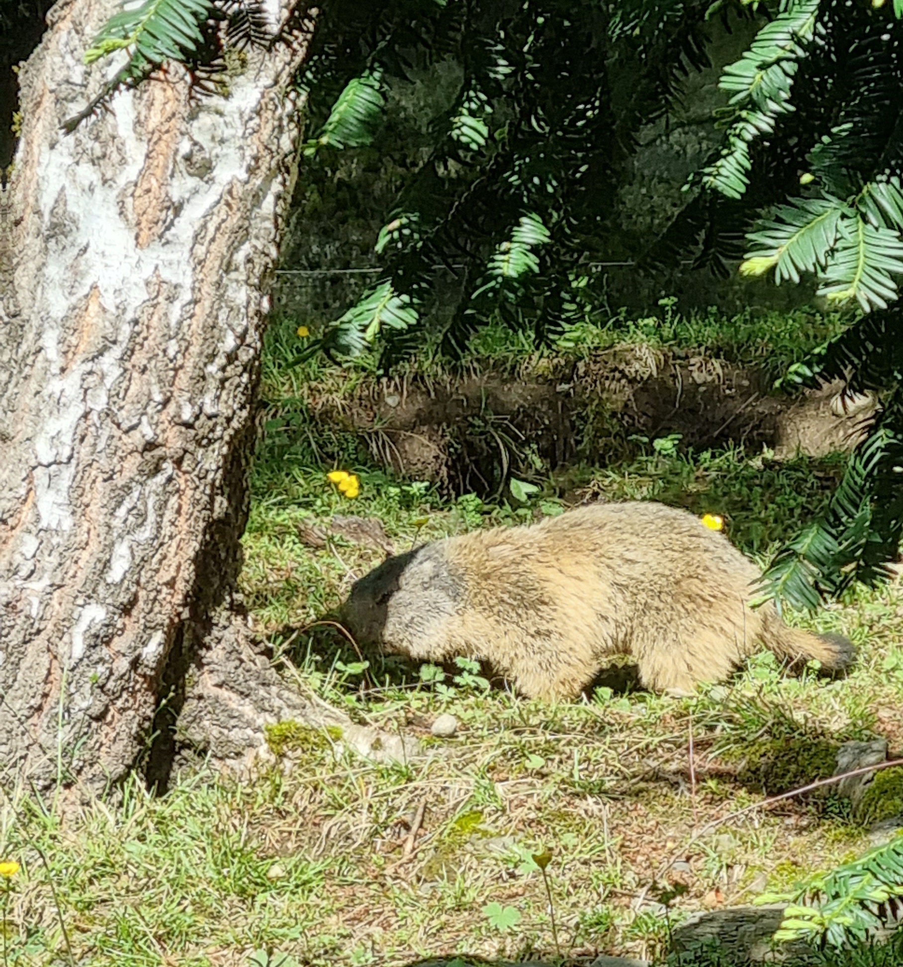 Photo n° 18 de l'avis de Anne.a fait le 25/04/2022 à 13:04