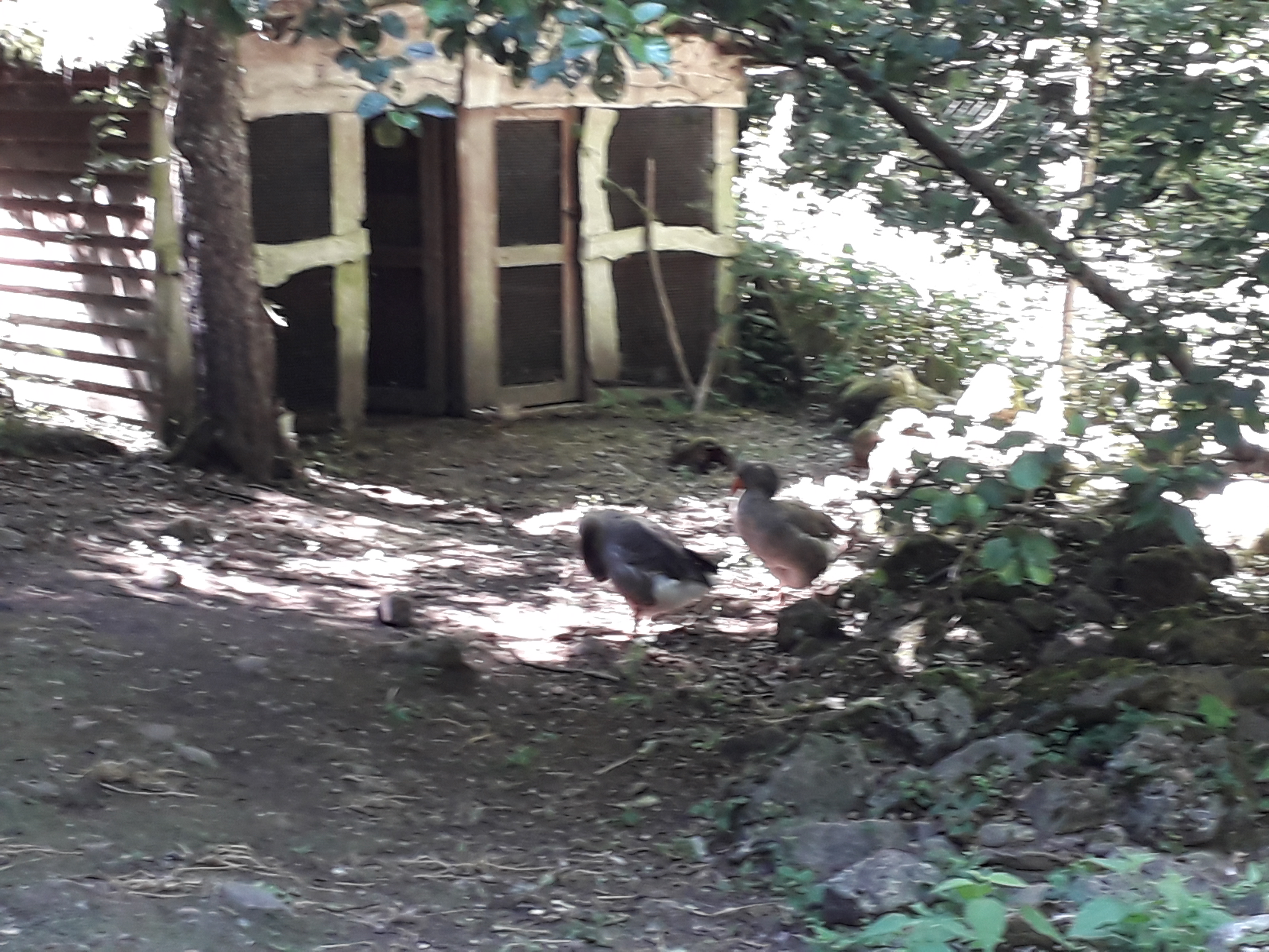 Photo n° 11 de l'avis de Franck.i fait le 19/07/2020 à 15:45