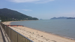 Sagumi Beach'in fotoğrafı vahşi alan