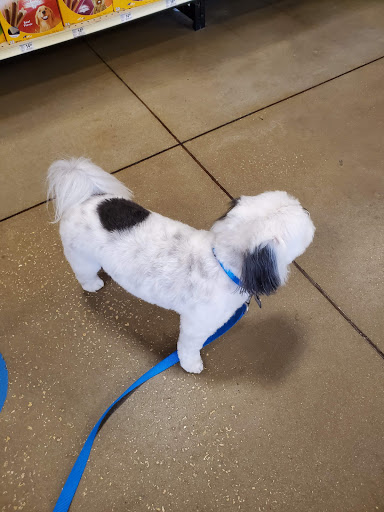 Pet Supply Store «PetSmart», reviews and photos, 1800 Evans Rd, Melbourne, FL 32904, USA