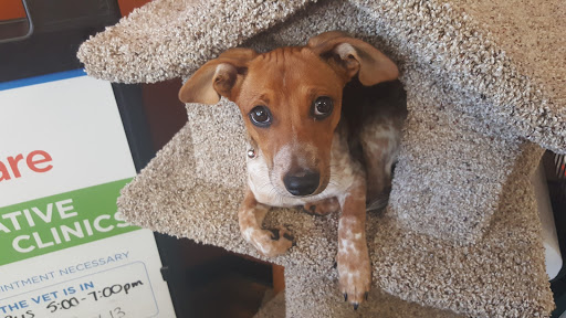 Pet Supply Store «EarthWise Pet Supply», reviews and photos, 7316 Yankee Rd, Liberty Township, OH 45044, USA