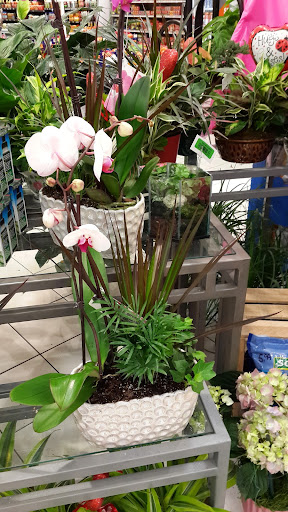 Grocery Store «Schnucks», reviews and photos, 200 N Vine St, Urbana, IL 61802, USA