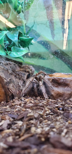 Pet Store «Pet Stop», reviews and photos, 6218 Nieman Rd, Shawnee, KS 66203, USA