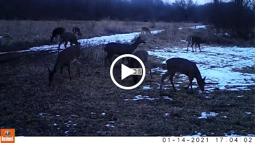 Home Improvement Store «Tractor Supply Co.», reviews and photos, 4601 E Grand River Ave, Howell, MI 48843, USA