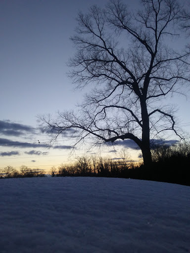 Country Club «Farmington Country Club», reviews and photos, 1625 Country Club Cir, Charlottesville, VA 22901, USA