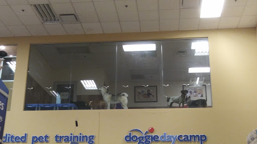 Pet Supply Store «PetSmart», reviews and photos, 12741 Towne Center Dr, Cerritos, CA 90703, USA