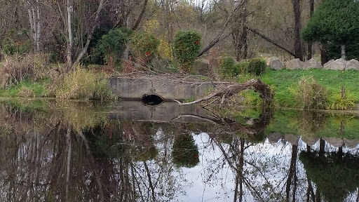 Winery «Bethany Vineyard & Winery», reviews and photos, 4115 NE 259th St, Ridgefield, WA 98642, USA