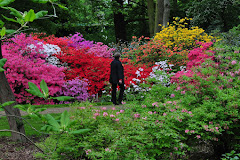 Rhododendron-Park