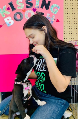 Pet Supply Store «Pet Supplies Plus», reviews and photos, 7041 Barker Cypress Rd, Cypress, TX 77433, USA