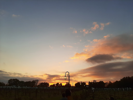 Winery «Haak Vineyards & Winery Inc», reviews and photos, 6310 Avenue T, Santa Fe, TX 77510, USA