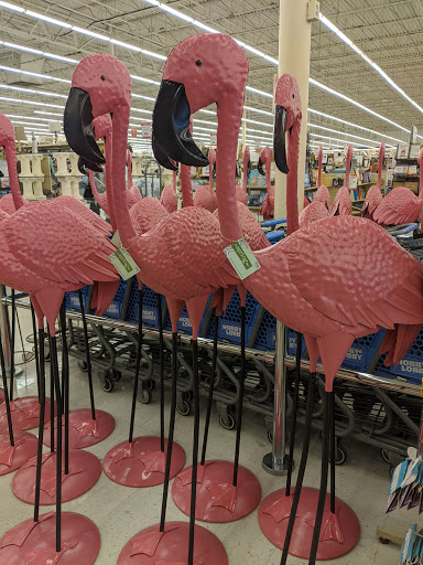 Craft Store «Hobby Lobby», reviews and photos, 1717 Old Fort Pkwy, Murfreesboro, TN 37129, USA