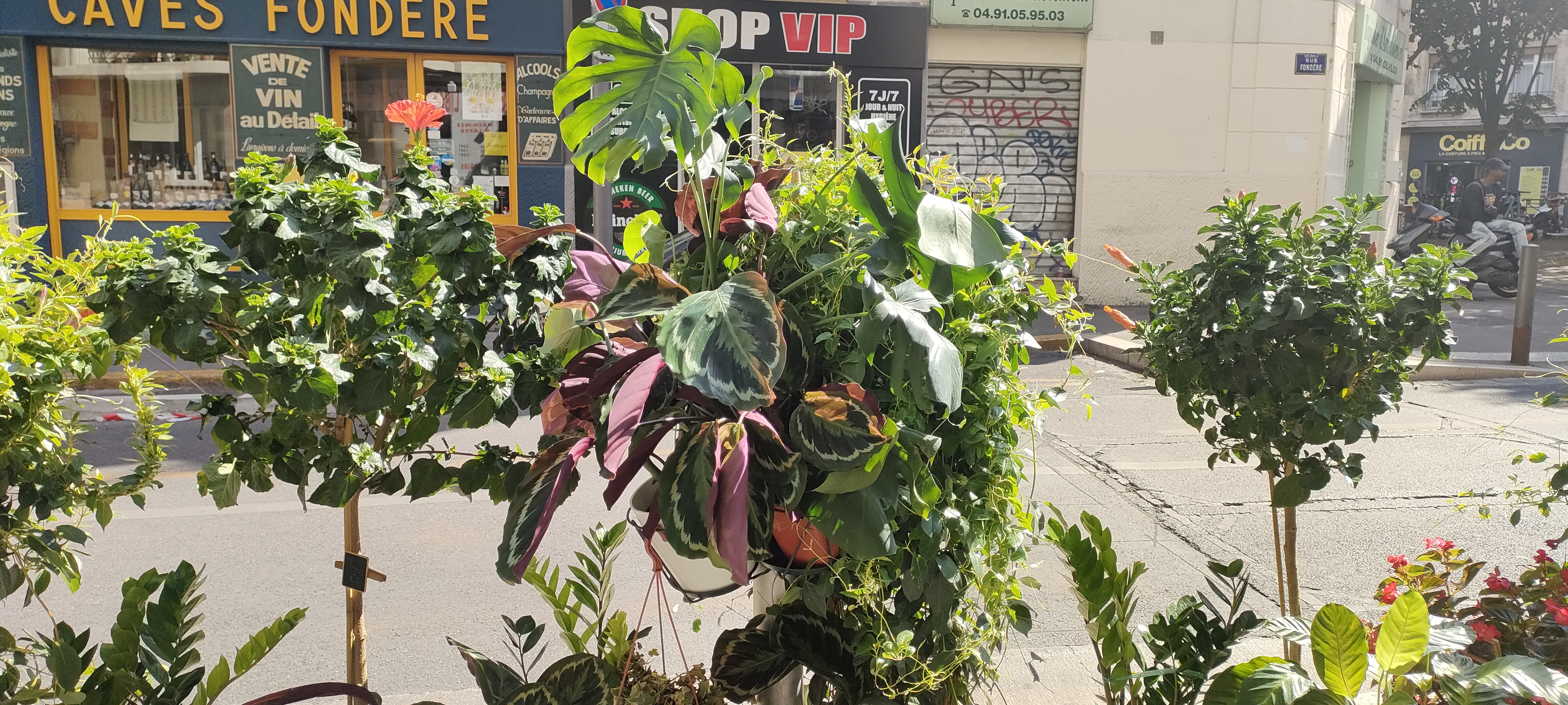 Photo n° 2 de l'avis de faivre.r fait le 18/08/2022 à 14:10