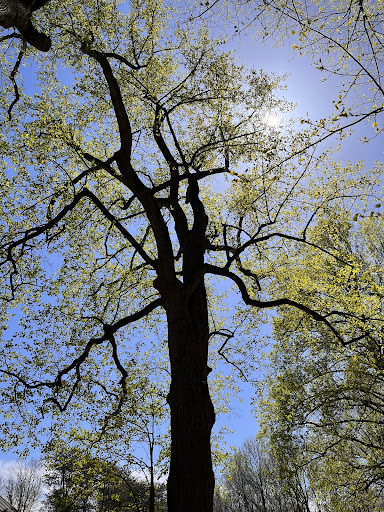 Recreation Center «Go Ape Zip Line & Treetop Adventure - Lums Pond State Park», reviews and photos, 1042 Howell School Rd, Bear, DE 19701, USA
