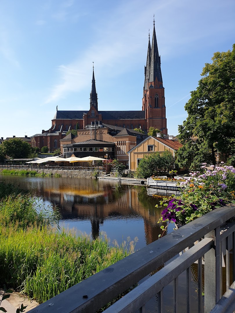 Uppsala, İsveç