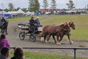 Landsskuet Herning image