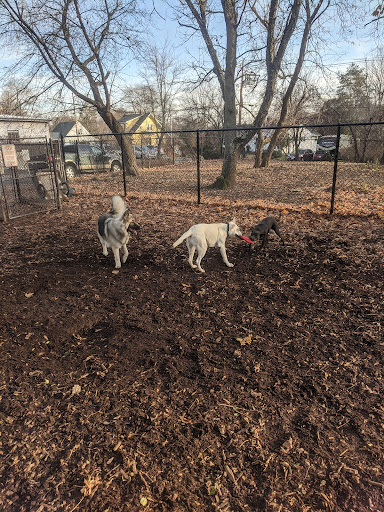 Park «Medway Dog Park», reviews and photos, 298 Village St, Medway, MA 02053, USA