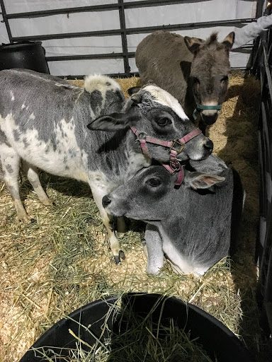 Place of Worship «The Grotto», reviews and photos, 8840 NE Skidmore St, Portland, OR 97220, USA