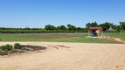 Winery «Eden Hill Winery and Vineyard», reviews and photos, 4910 Eden Hill Ln, Celina, TX 75009, USA