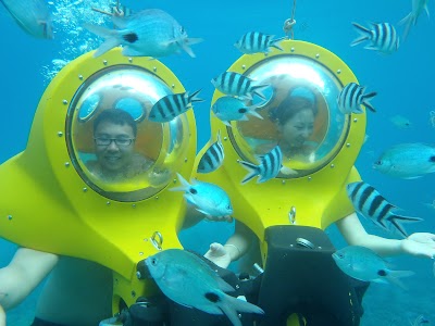 travel-agency