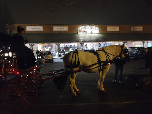 Pet Supply Store «The Stock Market Country Store», reviews and photos, 4479 Dover Pl SE, Conyers, GA 30013, USA