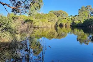 Mary Carroll Park image