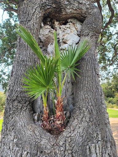Golf Course «Gilroy Golf Course», reviews and photos, 2695 Hecker Pass Rd, Gilroy, CA 95020, USA