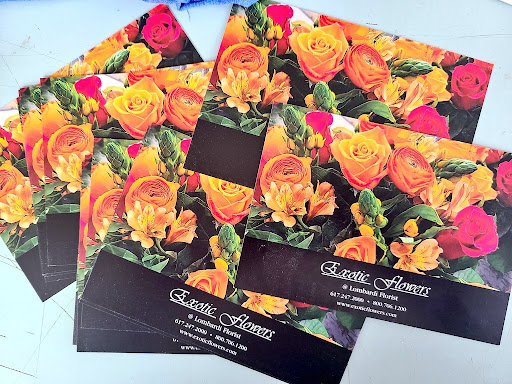 Florist «Exotic Flowers», reviews and photos, 609 American Legion Hwy, Boston, MA 02131, USA