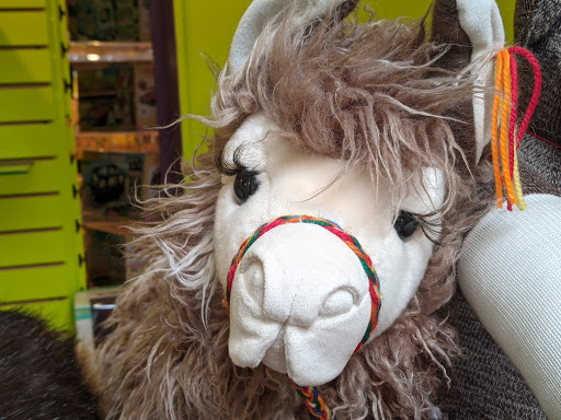 Toy Store «Genuine Toy Co.», reviews and photos, 550 Forest Ave Suite 8, Plymouth, MI 48170, USA