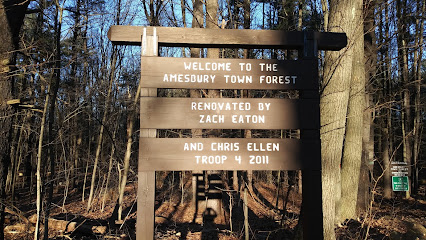 Amesbury Town Forest