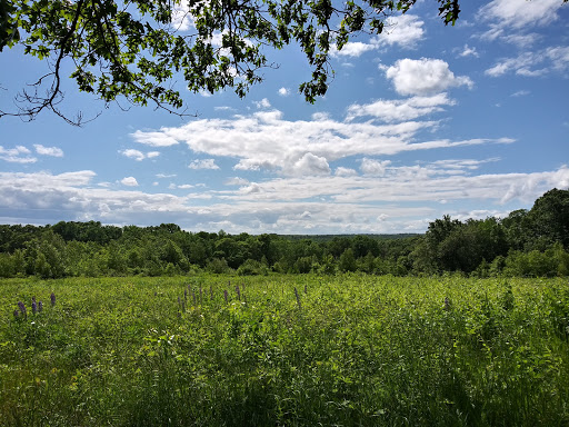Steere Hill Glocester Land Trust Trailhead