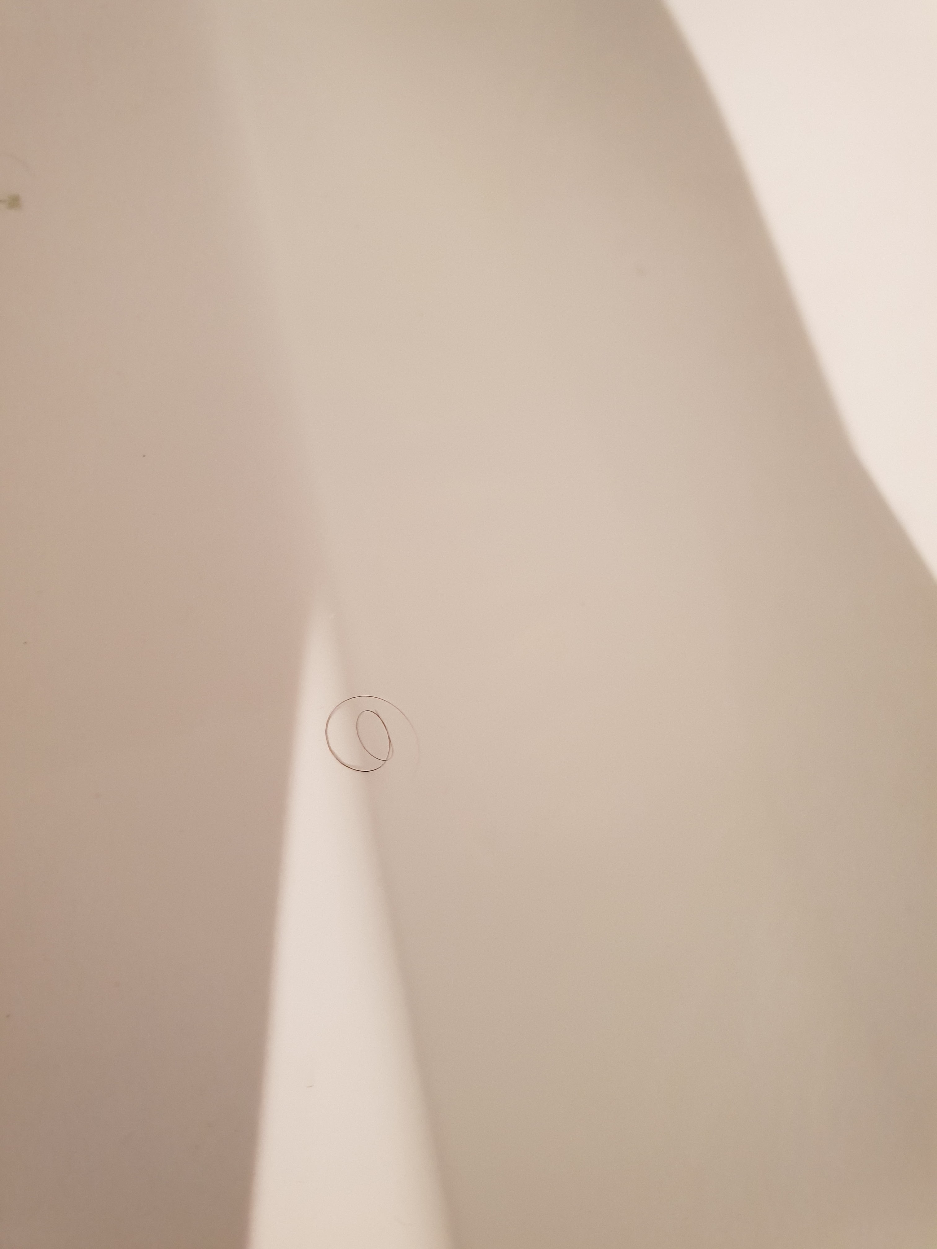 Photo n° 2 de l'avis de François.' fait le 24/06/2022 à 18:46