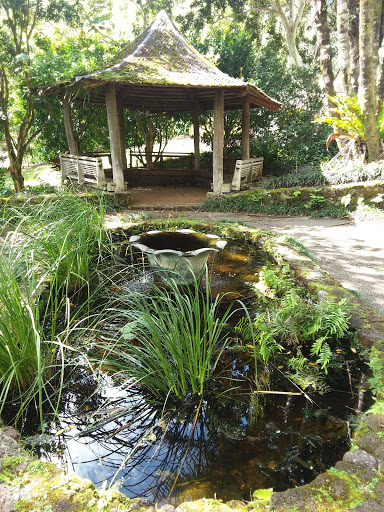 Lyon Arboretum