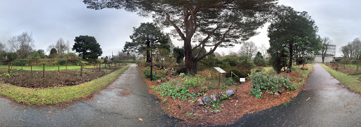 Cruickshank Botanic Garden, The Chanory Old Aberdeen AB24 3UU