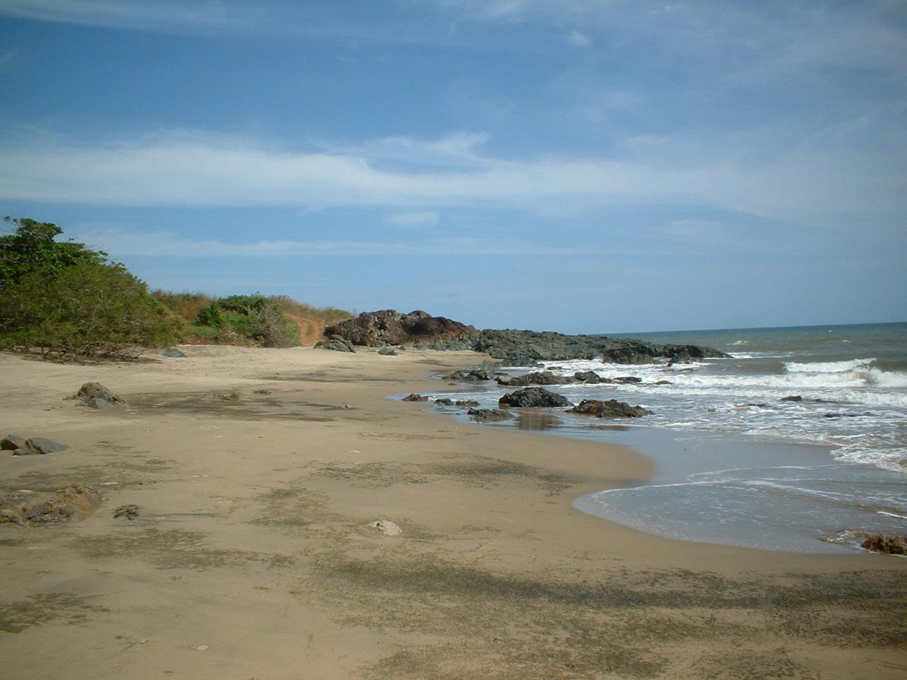 Lagart Point Beach的照片 野外区域