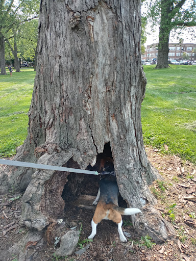 Park «Chicago Park District», reviews and photos, 5505 W Berteau Ave, Chicago, IL 60641, USA