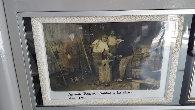 Avaliações sobre Brasília Loteria em Curitiba - Casa lotérica