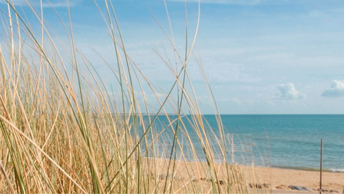 Codifim | Agence immobilière à Jard-sur-Mer (Vendée 85)